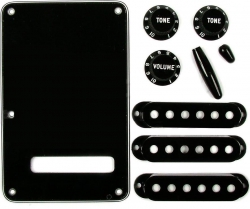 Fender Stratocaster Parchement Accessory Kit (Black)