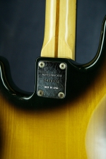 Ario Pro II Primary Bass