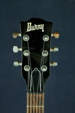Burny LG-480 Black (1998)