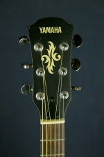 Yamaha APX-4A