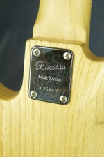 Bacchus WOODLINE ASH5 OIL 5-string Bass