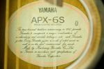Yamaha APX-6S