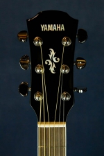 Yamaha APX-500