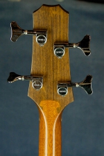 Taylor Acoustic Bass