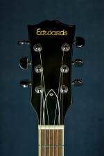 Edwards E-SA-125LTS
